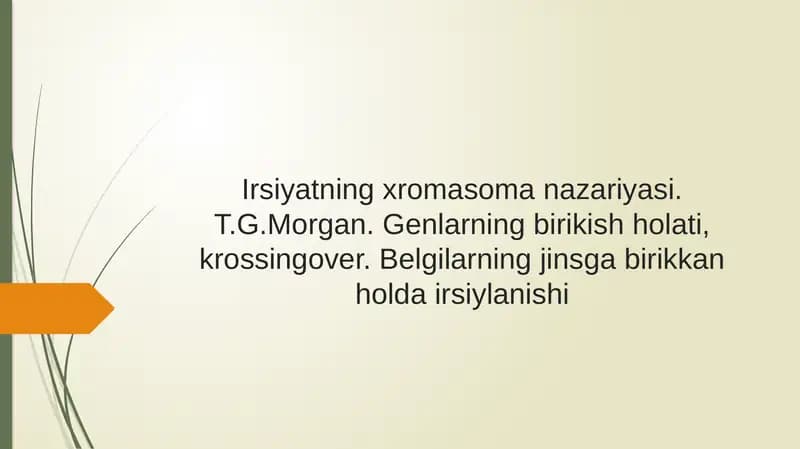 Irsiyatning xromasoma nazariyasi
