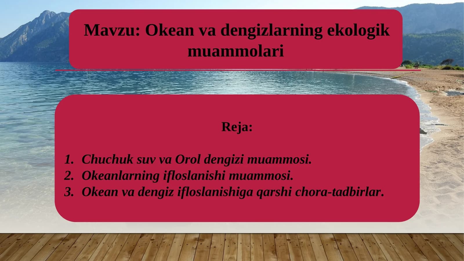 Okean va dengizlarning ekologik muammolari