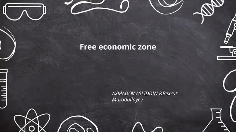 Free economic zone
