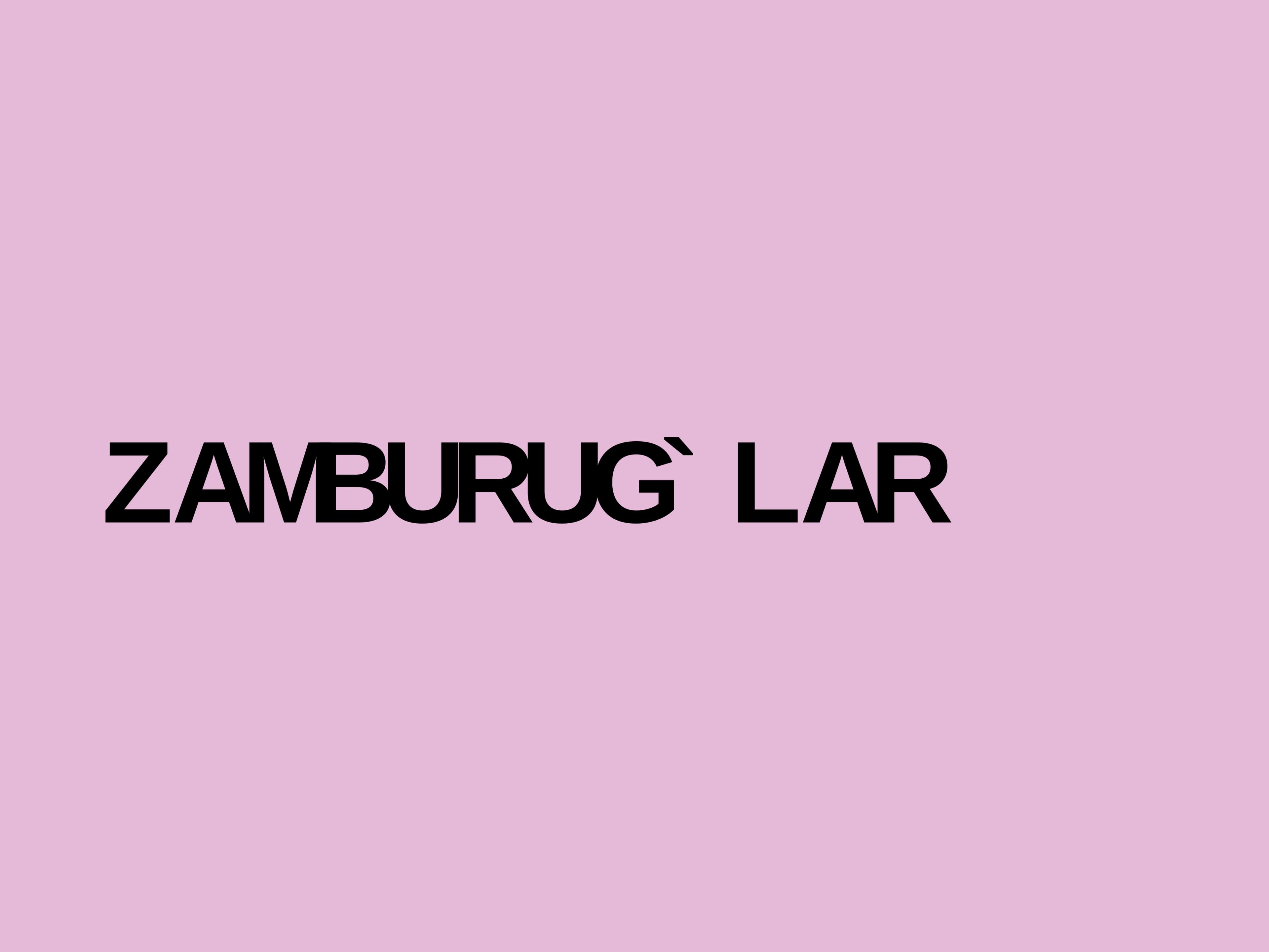 ZAMBURUG`LAR