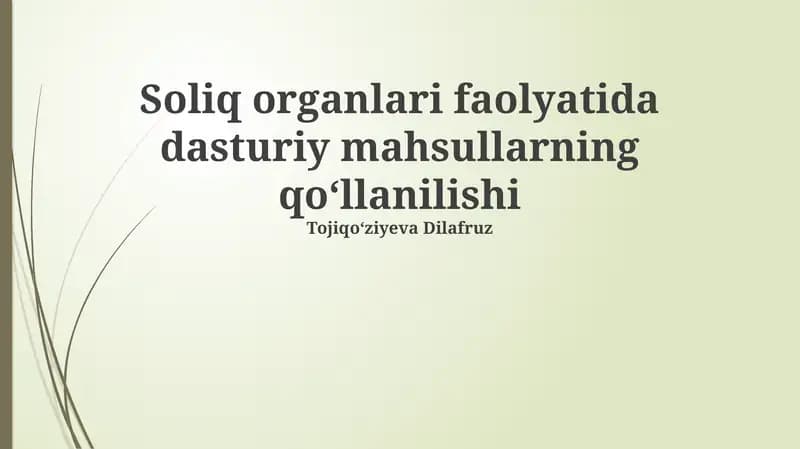 Soliq organlari faolyatida dasturiy mahsullarning qoʻllanilishi