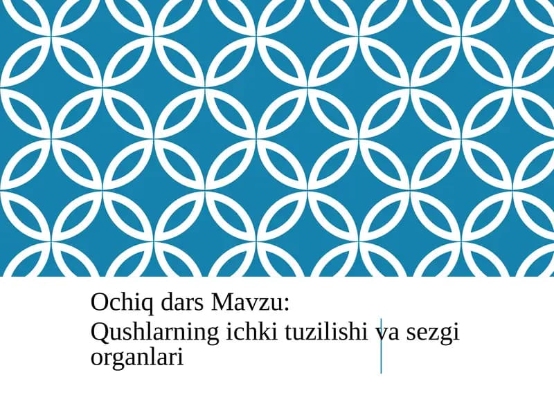 Qushlarning ichki tuzilishi va sezgi organlari