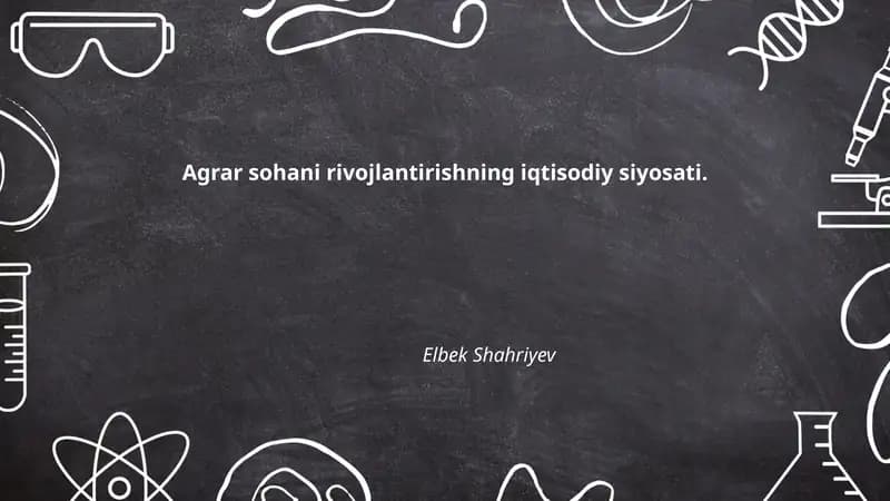 Davlat subsidiyalari va qo‘llab‑quvvatlash mexanizmlari
