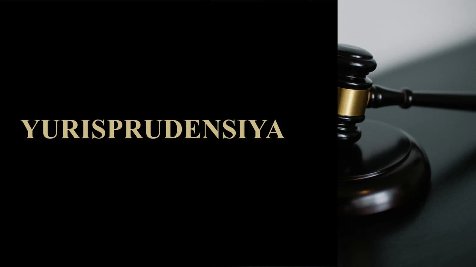 Mustaqil ish yurisprudensiya yoʻnalishi uchun