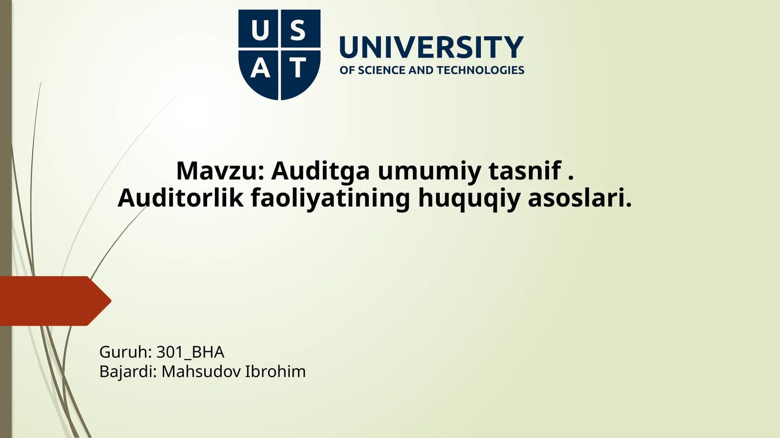 Audit faoliyati haqida