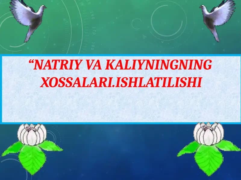 NATRIY VA KALIYNINGNINGXOSSALARI.ISHLATILISHI
