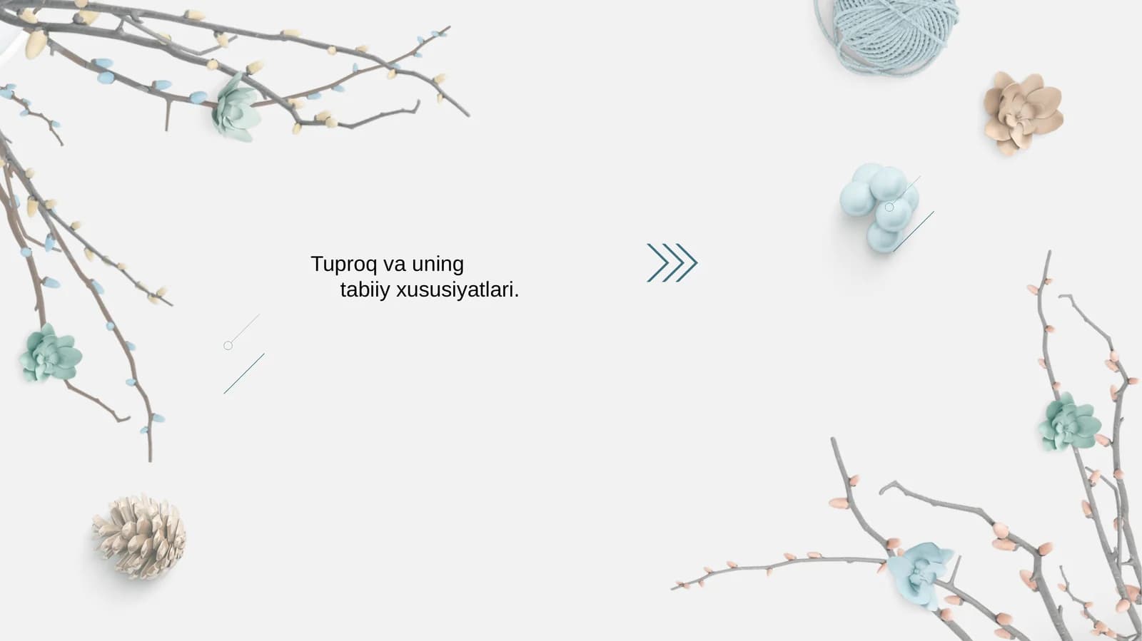 Tuproq va uning tabiiy xususiyatlari