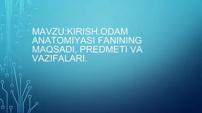 Odam anatomiysi