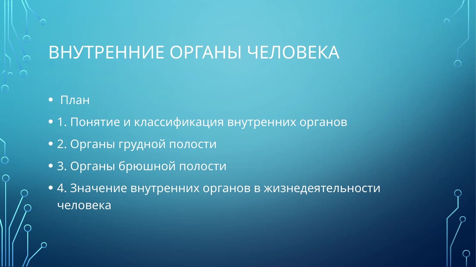 Внутренние органы человека