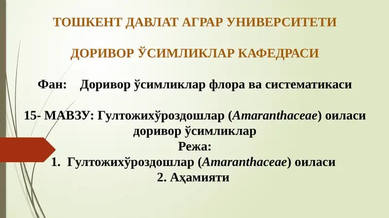 Гултожихўроздошлар (Amaranthaceae)