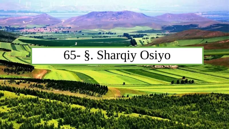 Sharqiy Osiyo Geografiyasi