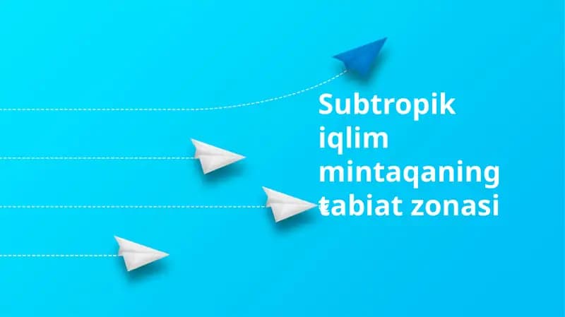Subtropik iqlim mintaqaning tabiat zonasi