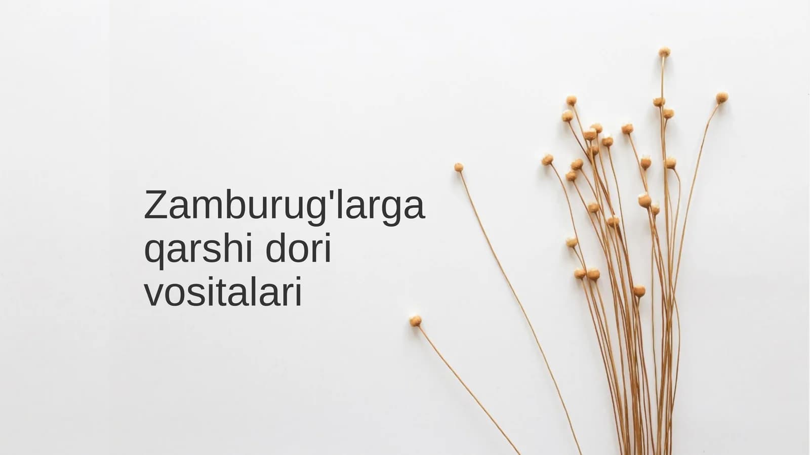 Zamburug'larga qarshi dorivorlari