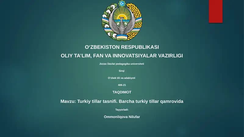 Turkiy tillar tasnifi