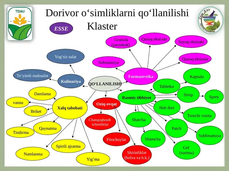 Qaynatma