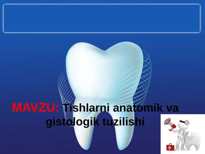 Tishlarni anatomik va gistologik tuzilishi