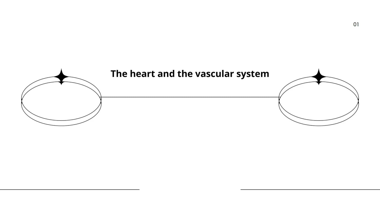 The heart and the vascular system