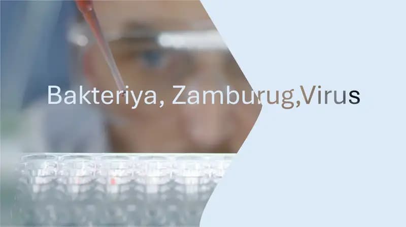 bakteriya zamburug virus