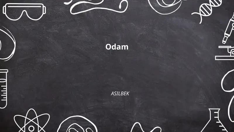 Odami anatomiyasi