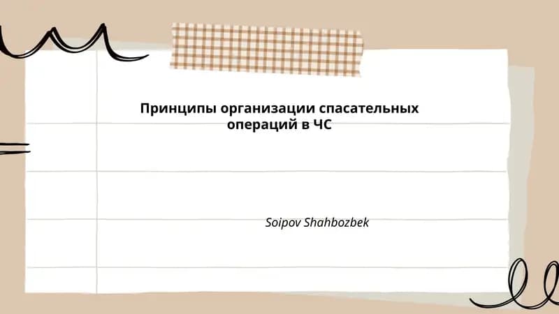Принципы организации спасательных операций в ЧС