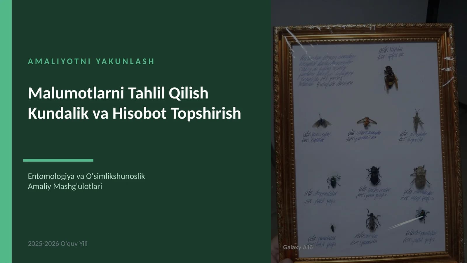 Entomologiya va O'simlikshunoslik