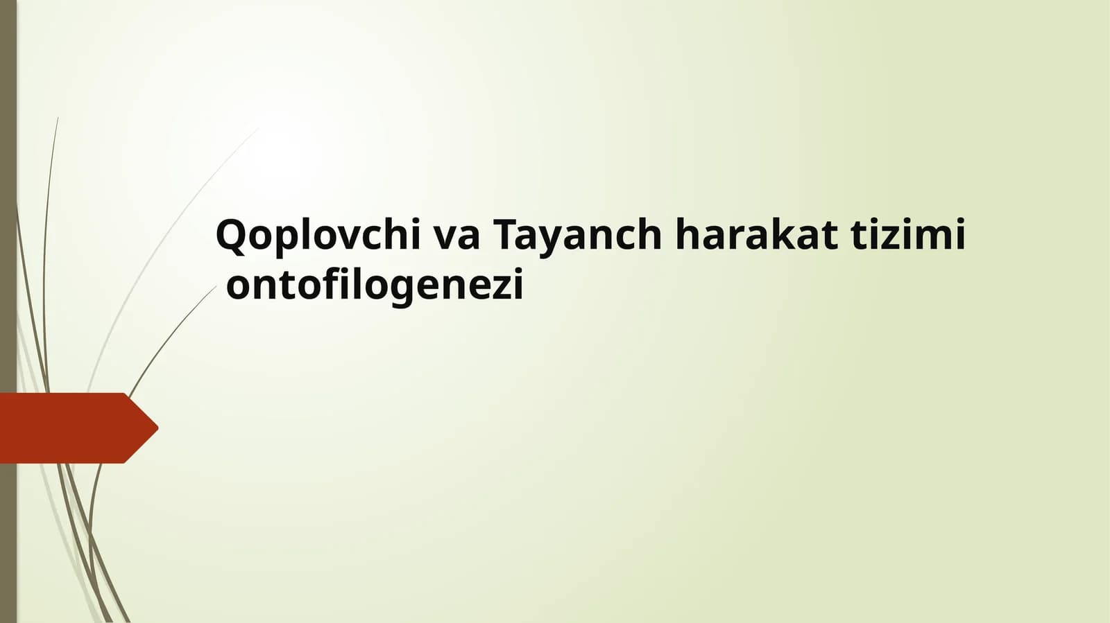 QoplovchivaTayanchharakattizimiontofilogenezi
