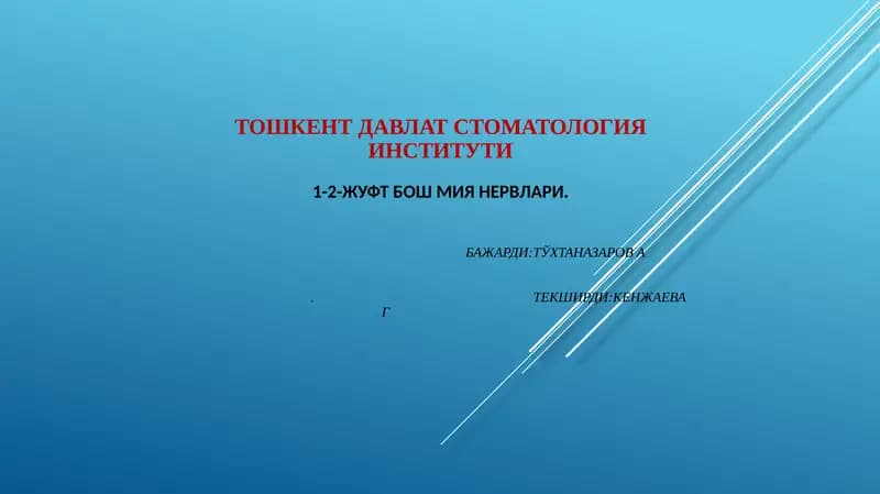 Ижуфт, ҳидлов нерви (nn. olfactorius)