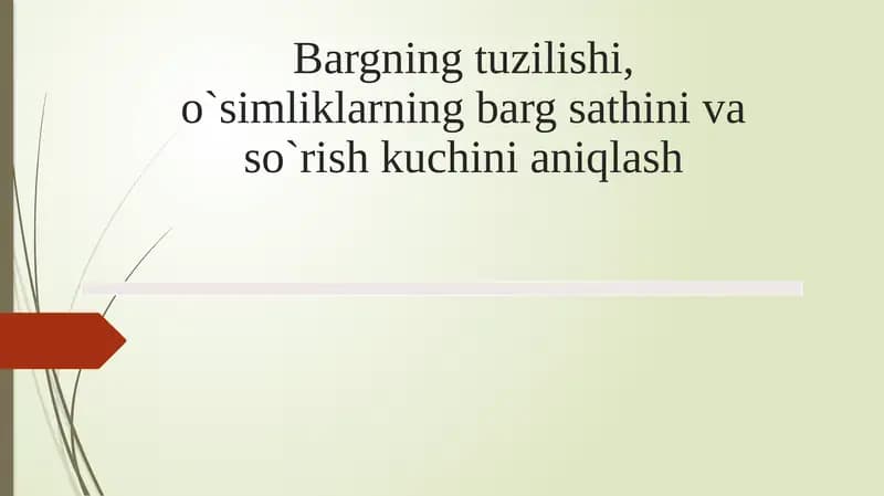 Bargning tuzilishi