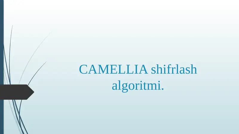CAMELLIA shifrlash algoritmi.