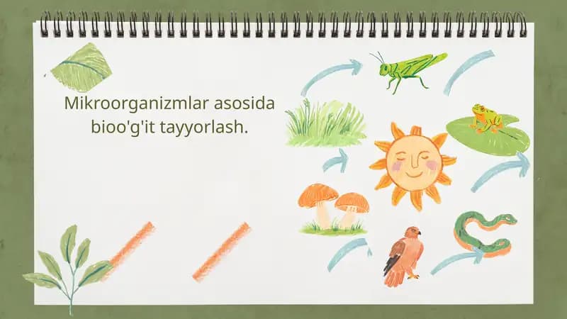 Mikroorganizmlar asosida bioo'g'it tayyorlash