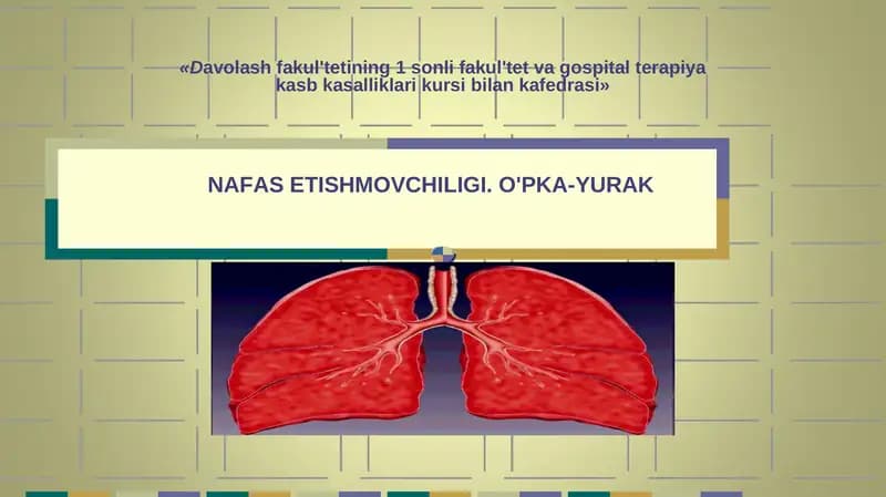 NАFАSETISHMОVCHILIGI.O'PKА-YURАK