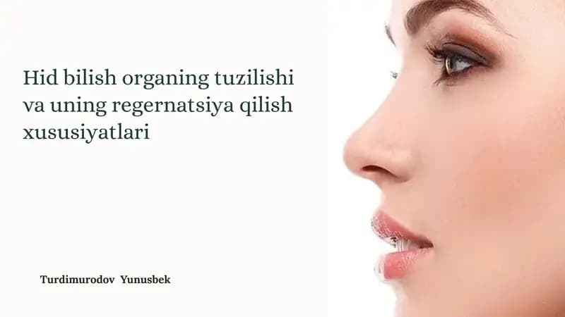 Hid Bilish Organining Tuzilishi
