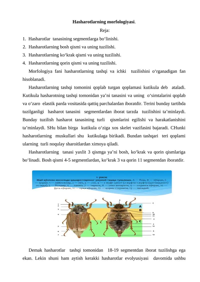 Hasharotlarning morfologiyasi