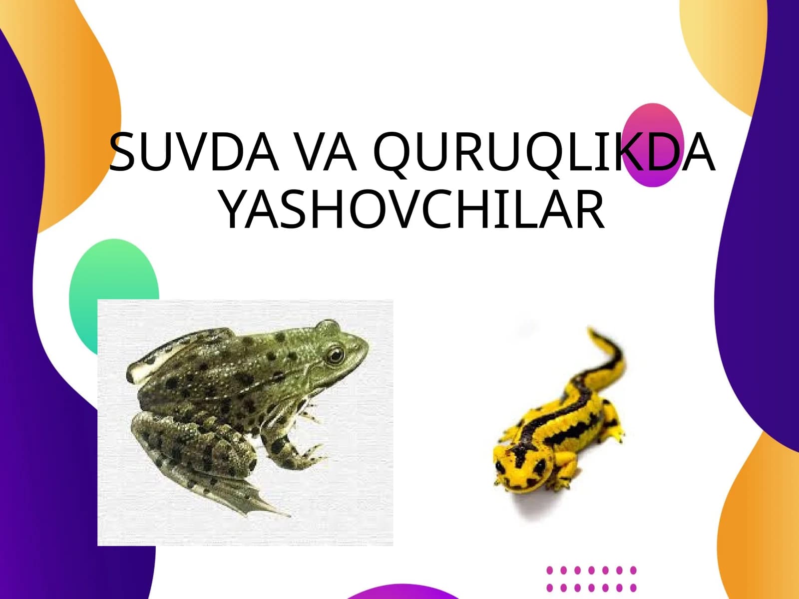 Baqasimonlar (Ranidae)