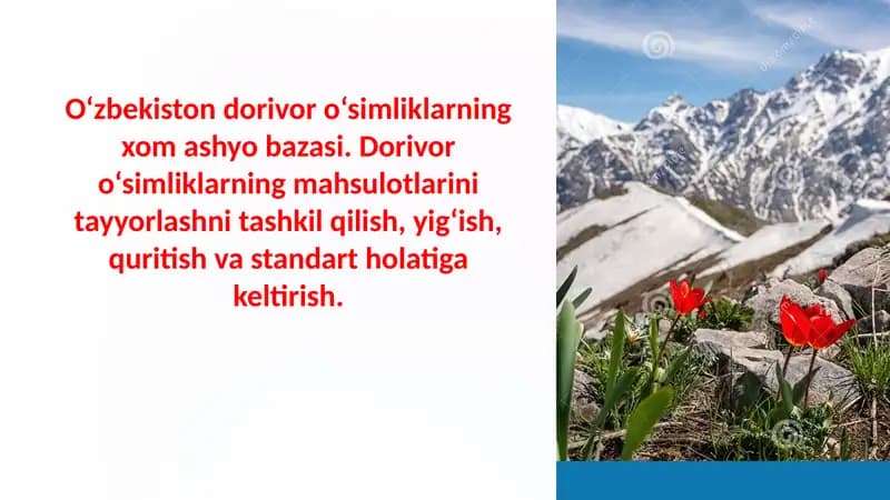 Dorivor o'simliklarning mahsulotlarini tayyorlash