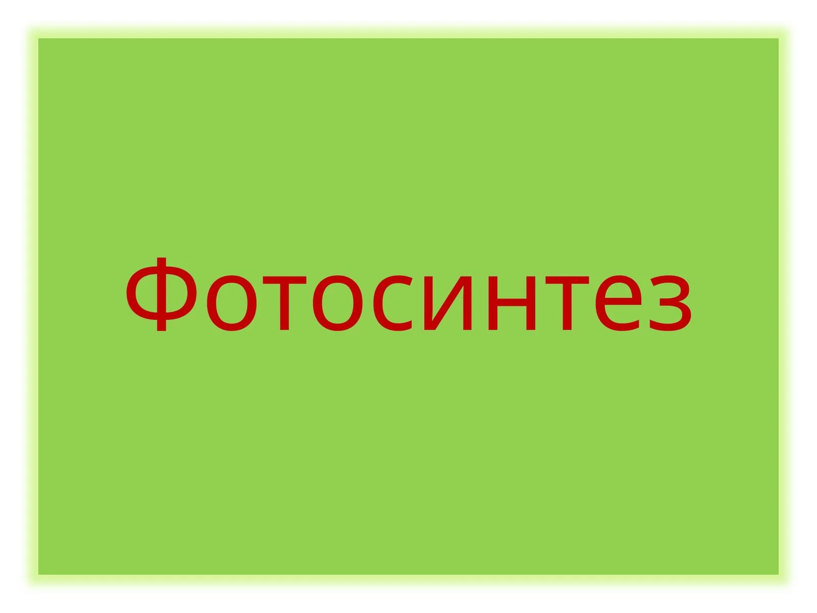 Фотосинтез