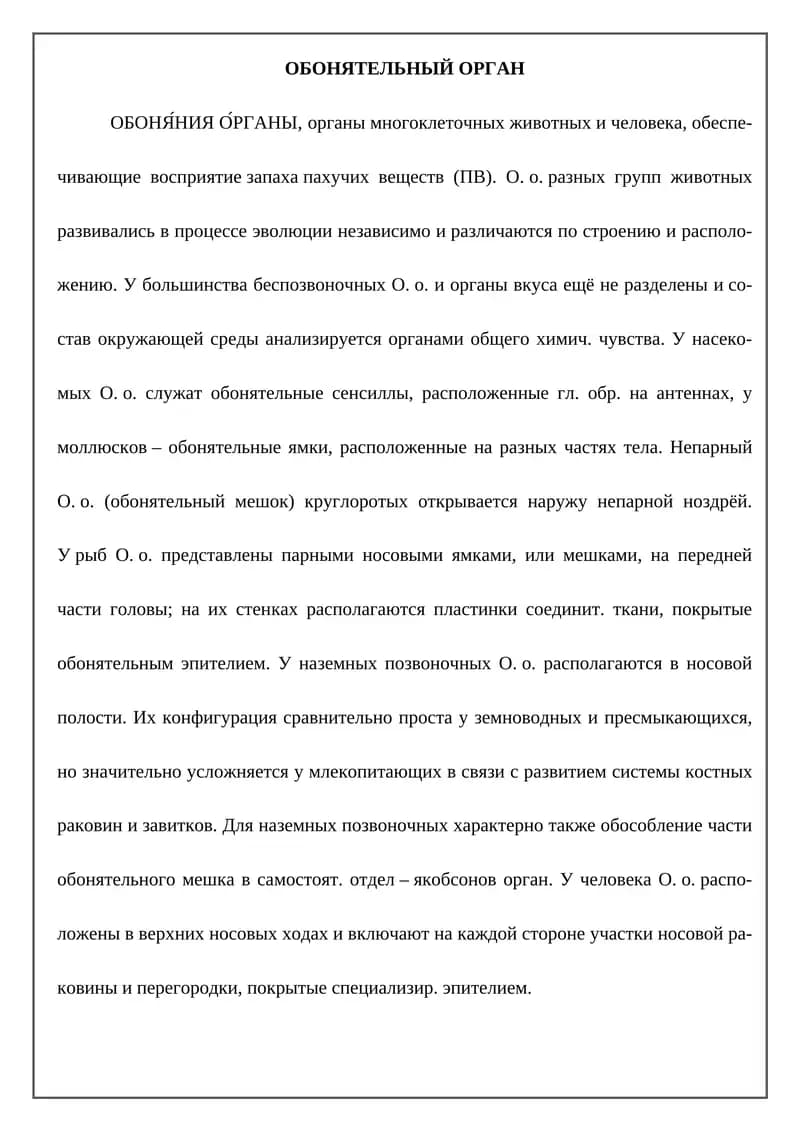 ОБОНЯТЕЛЬНЫЙ ОРГАН