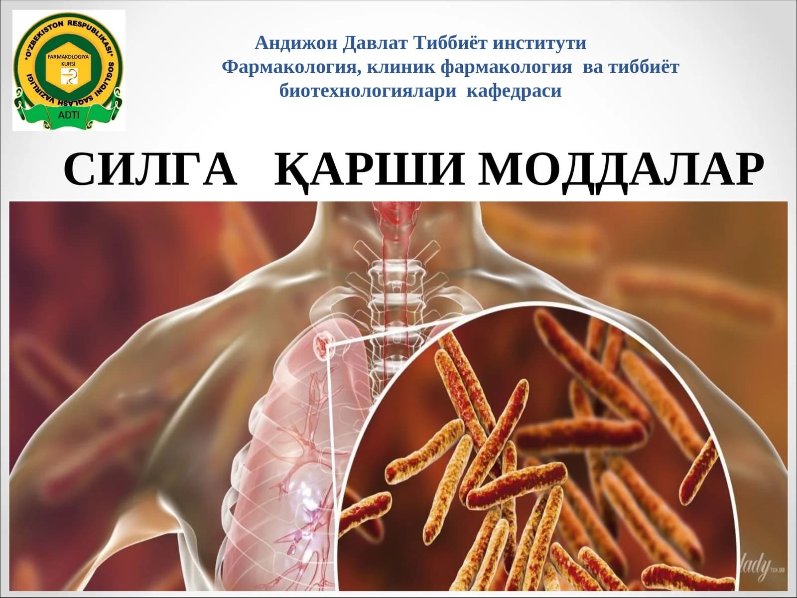 СИЛГА ҚАРШИ МОДДАЛАР