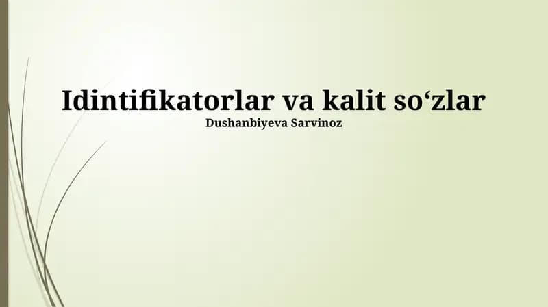 Identifikatorlar va kalit so‘zlar