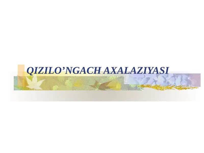 QIZILO’NGACH AXALAZIYASI