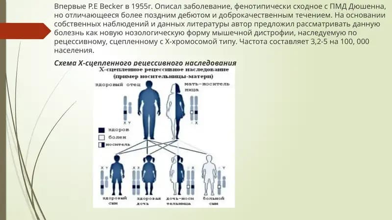 Прогрессирующая мышечная дистрофия Беккера