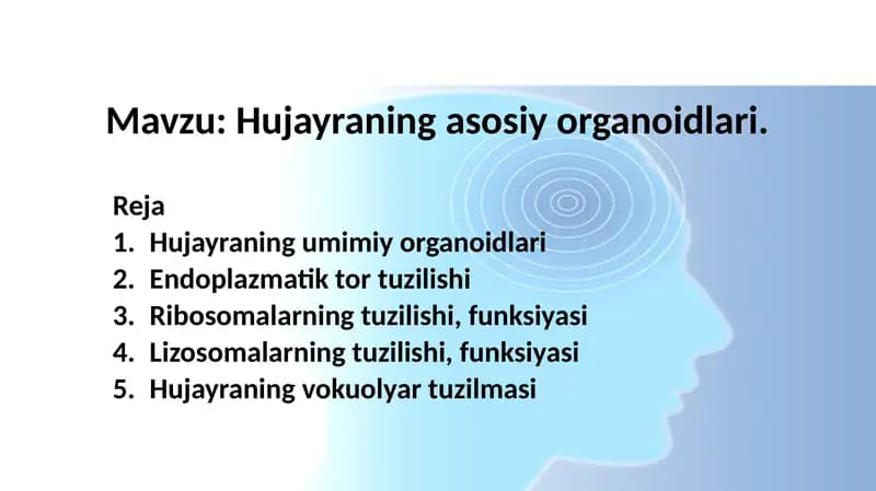 Hujayraning asosiy organoidlari
