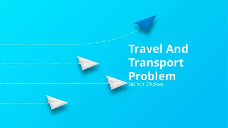 Seyahat va transport muammolari