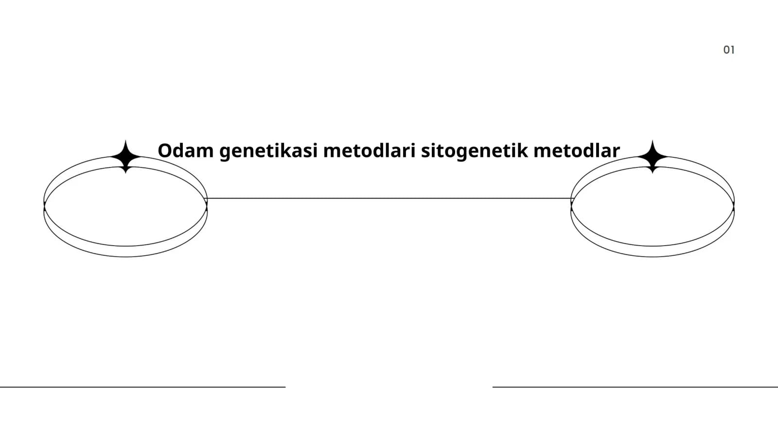 Odam genetikasi metodlari sitogenetik metodlar
