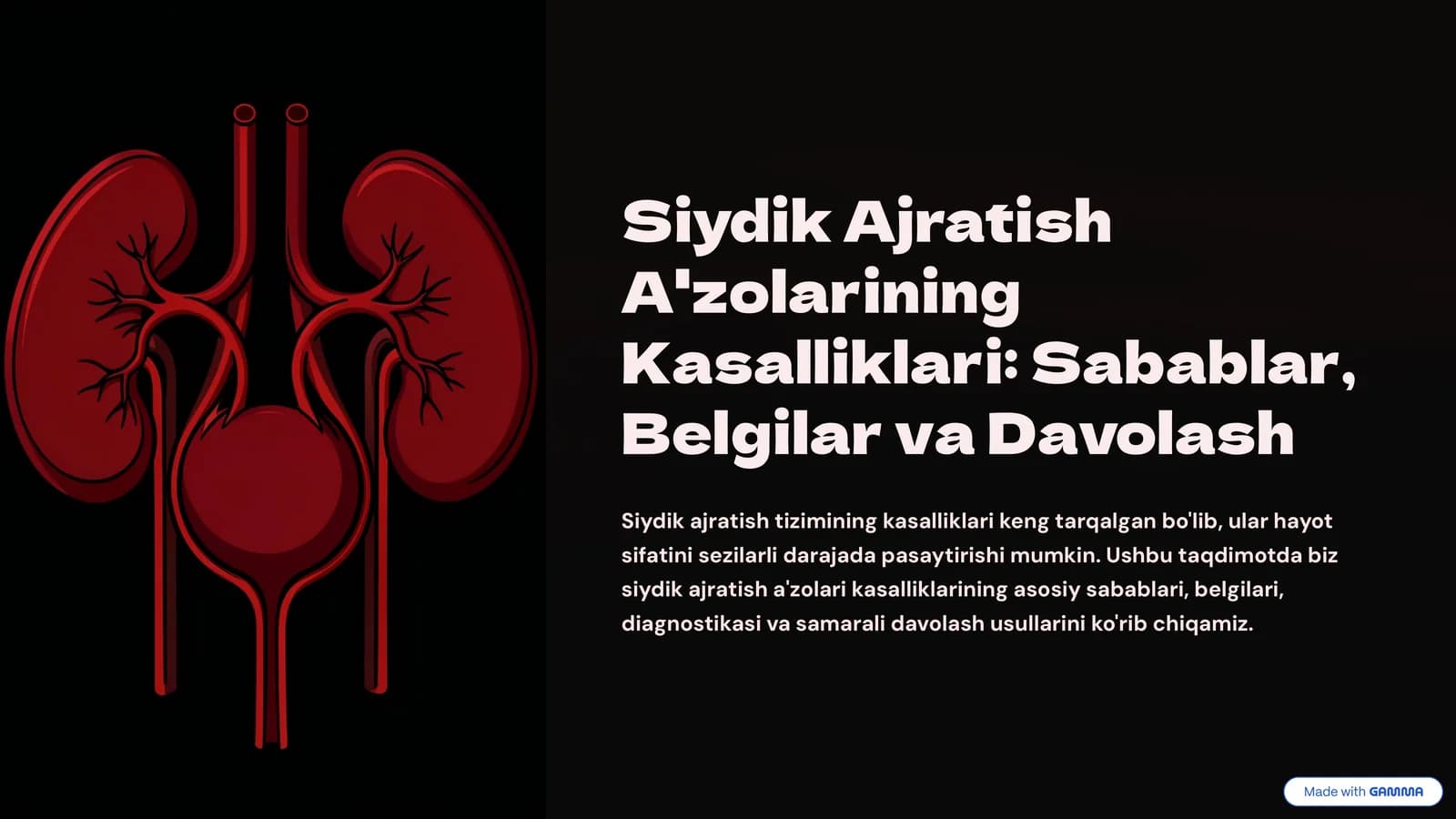 Siydik Ajratish A'zolarining Kasalliklari: Sabablar, Belgilar va Davolash