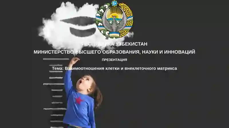 Взаимоотношения клетки и внеклеточного матрикса