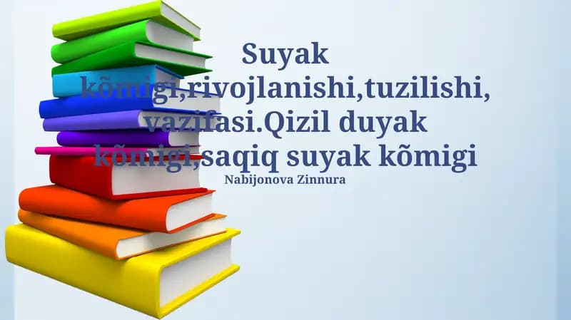 Suyak ko'migi