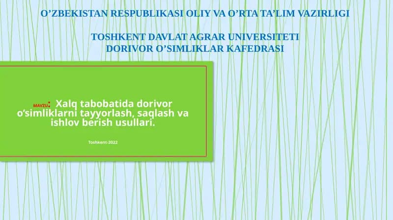 Dorivor O'simliklarni Tayyorlash