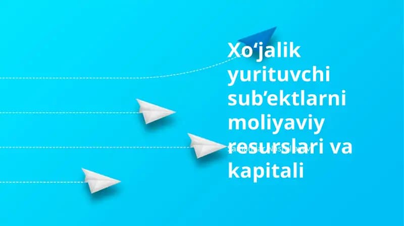 Iqtisodiy Subyektlarning Moliyaviy Resurslari