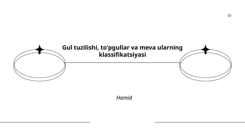 Gulning tashqi va ichki tuzilishi